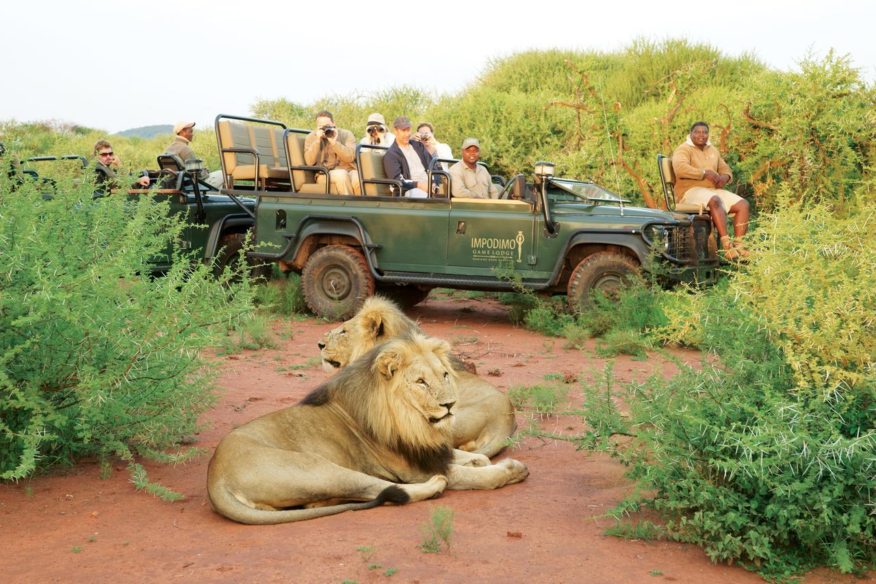 Impodimo Game Lodge محميّة ماديكوي الطبيعيّة للطرائد المظهر الخارجي الصورة