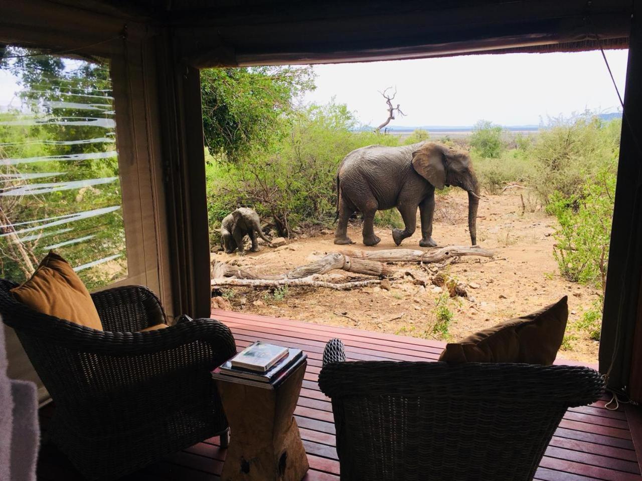 Impodimo Game Lodge محميّة ماديكوي الطبيعيّة للطرائد المظهر الخارجي الصورة